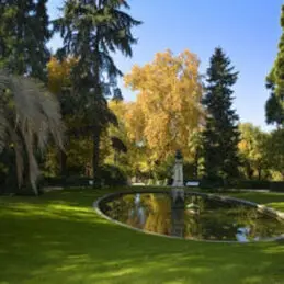 Tala y Podas de árboles en altura en Guadalajara En Guadalajara talamos y podamos árboles